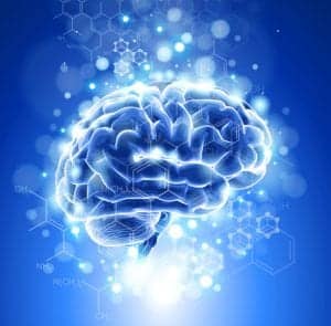 brain_chemistry