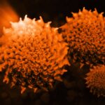 Siemens Healthineers Receives $83 Million to Advance Photon Flash Radiotherapy